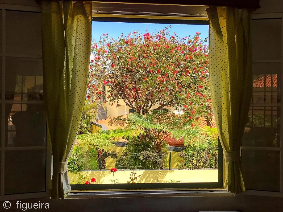 Terra Cha Cottage,Feel Home, Sao Vicente  Sao Vicente (Madeira)