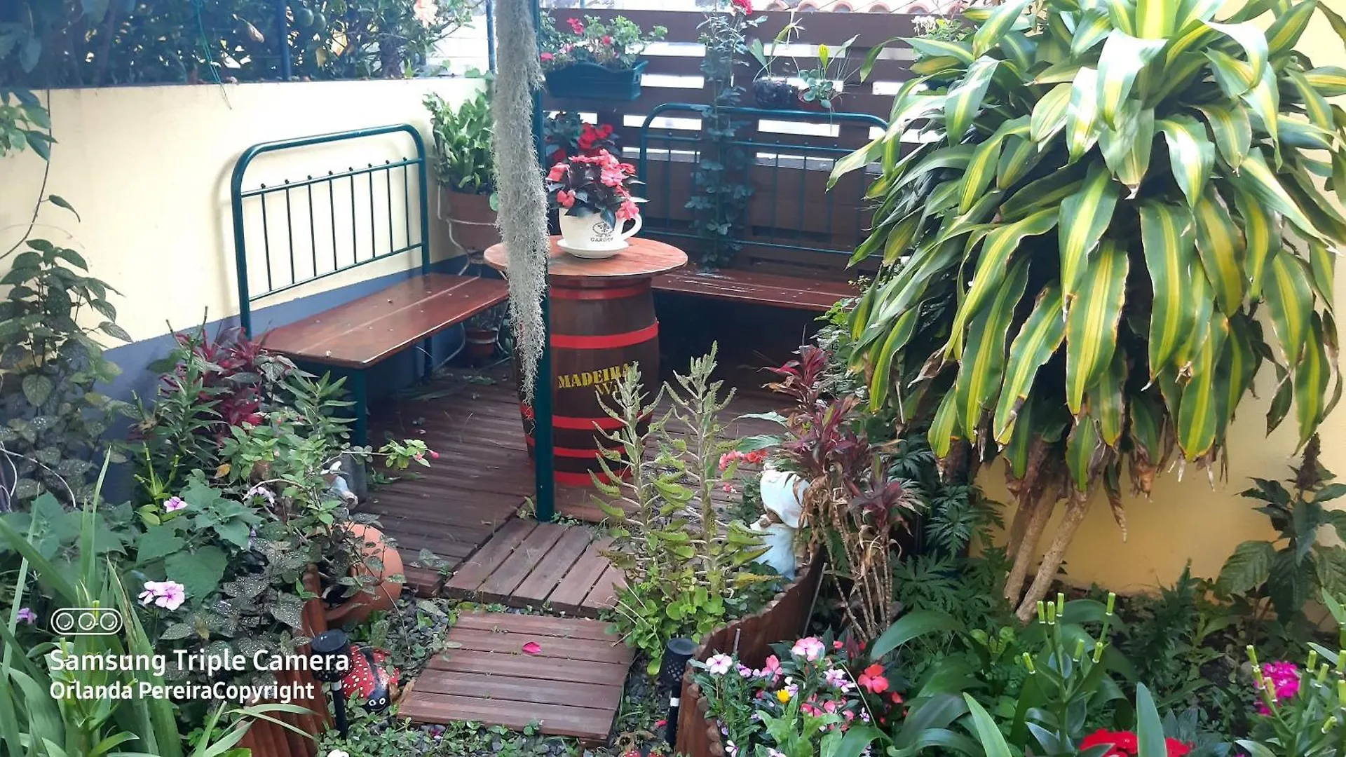 Terra Cha Cottage,Feel Home, Sao Vicente  Portugal