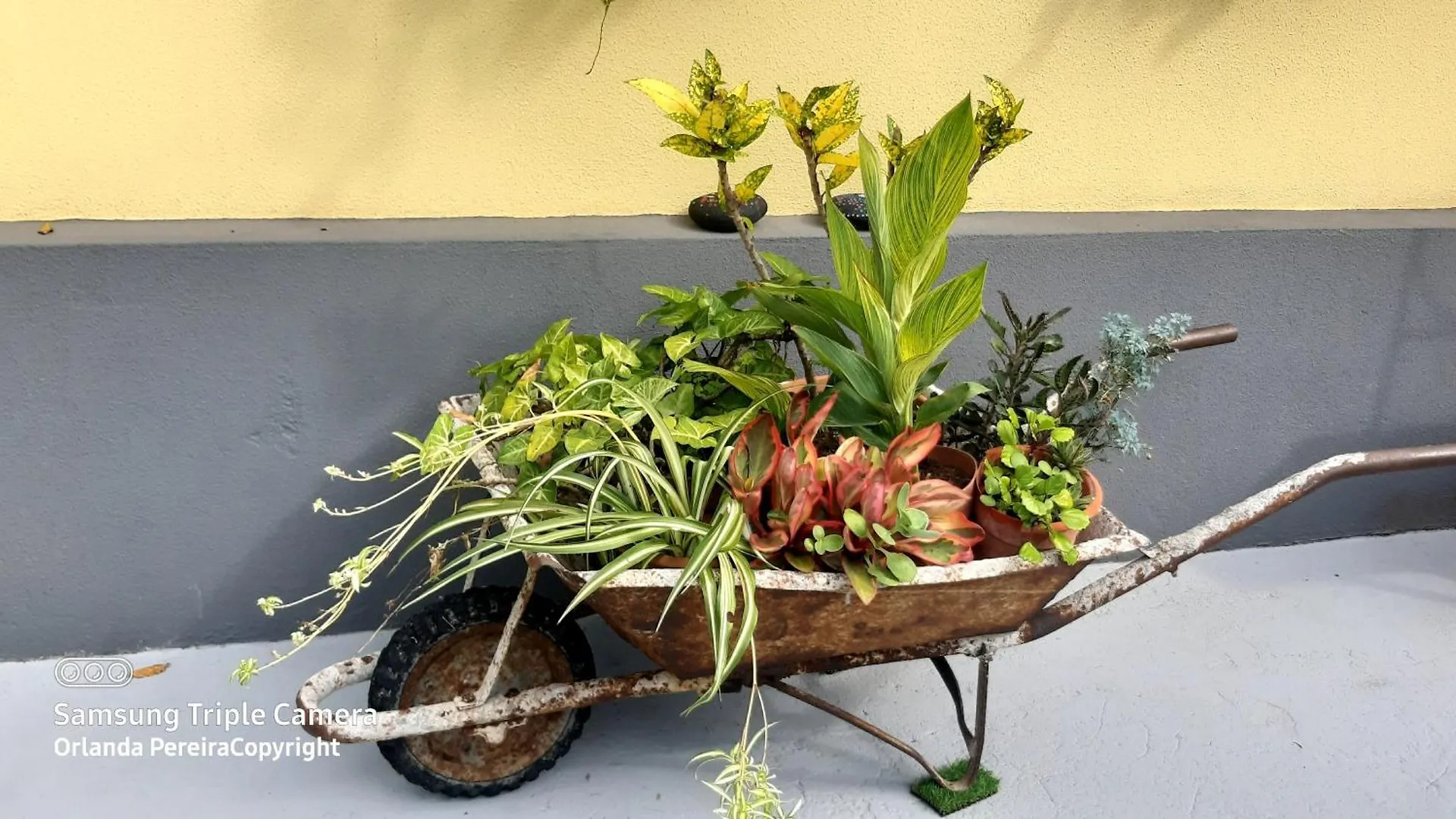 Terra Cha Cottage,Feel Home, Sao Vicente  Sao Vicente (Madeira)